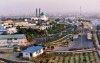 تکلیف مناطق آزاد به «جهانی شدن»